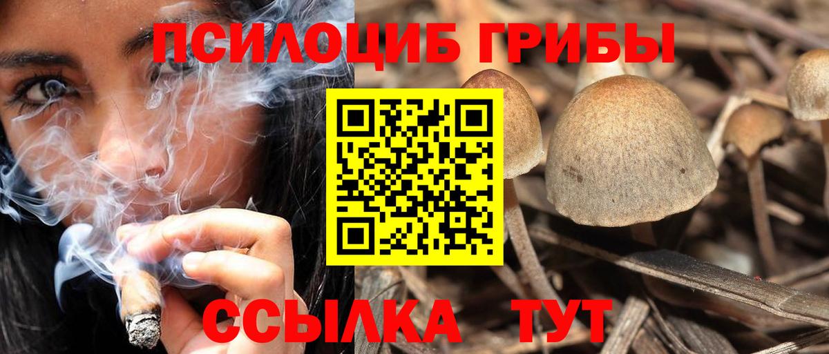 Псилоцибиновые грибы Magic Shrooms  наркошоп  Моршанск  Вход с VPN 