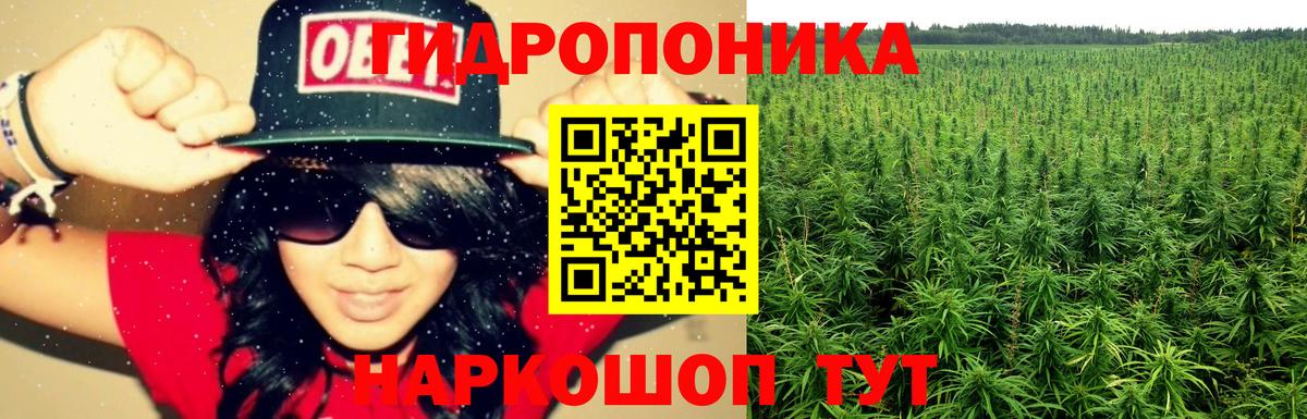 Шишки марихуана индика  Вход с VPN  Бошки Шишки план  Бошки Шишки Ganja  Моршанск 